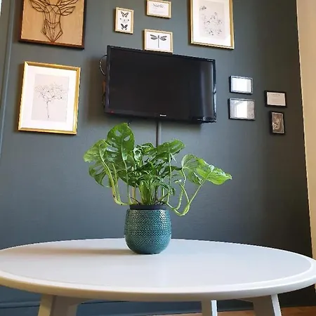 Superbe T2 De 45m² En Hyper Centre Apartment