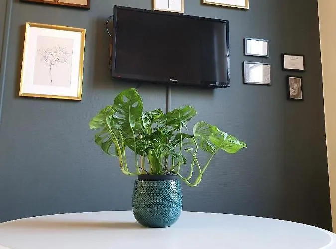 Superbe T2 De 45m² En Hyper Centre Apartament